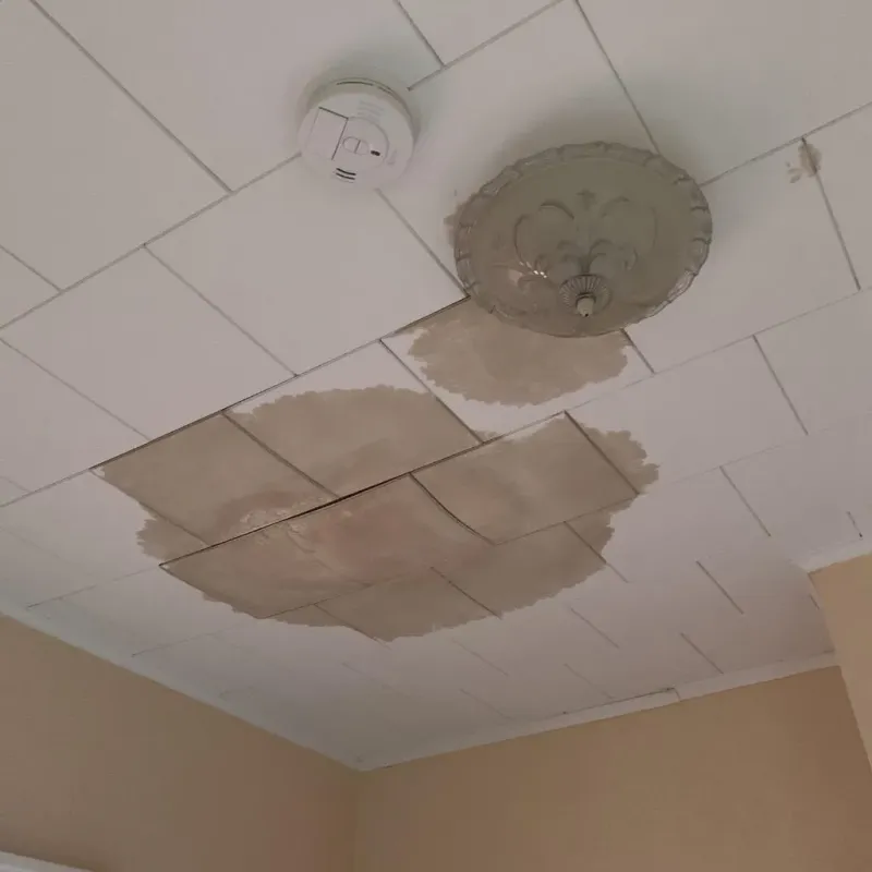 Ceiling Water Damage Repair in Mount Wolf, PA
