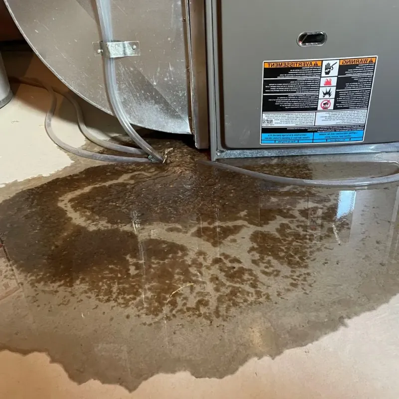 Pipe Burst and Leak Restoration in Mount Wolf, PA